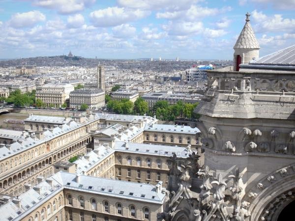 Chùm ảnh về vẻ đẹp của Nhà thờ Đức Bà Paris trước vụ hỏa hoạn làm sập mái vòm và tháp đêm 15/4 ảnh 23