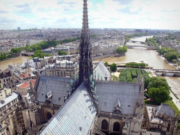 Chùm ảnh về vẻ đẹp của Nhà thờ Đức Bà Paris trước vụ hỏa hoạn làm sập mái vòm và tháp đêm 15/4 ảnh 22