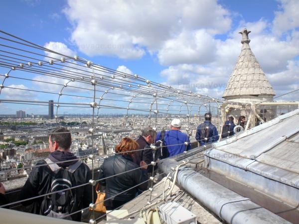 Chùm ảnh về vẻ đẹp của Nhà thờ Đức Bà Paris trước vụ hỏa hoạn làm sập mái vòm và tháp đêm 15/4 ảnh 5