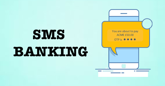 Mobile Banking đã thúc đẩy chuyển đổi số ngành ngân hàng như thế nào? ảnh 2