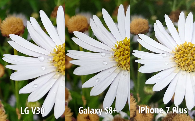 So sánh ảnh chụp từ LG V30 với Galaxy S8+ và iPhone 7 Plus ảnh 4