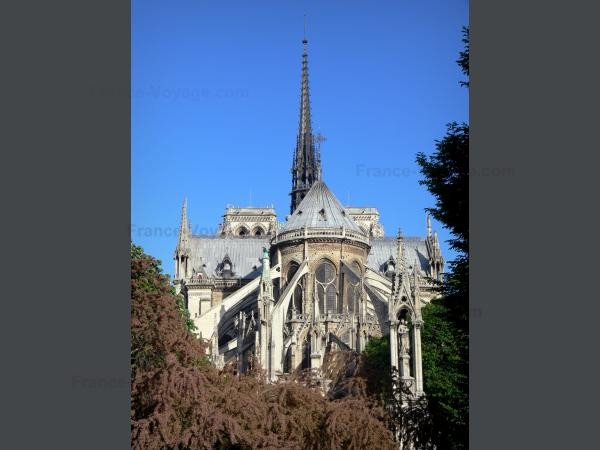 Chùm ảnh về vẻ đẹp của Nhà thờ Đức Bà Paris trước vụ hỏa hoạn làm sập mái vòm và tháp đêm 15/4 ảnh 1