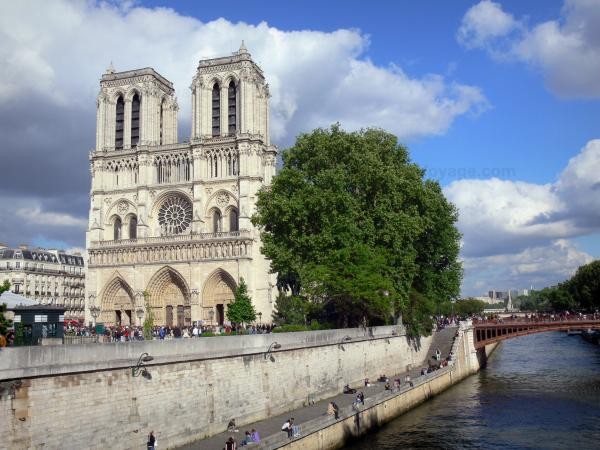 Chùm ảnh về vẻ đẹp của Nhà thờ Đức Bà Paris trước vụ hỏa hoạn làm sập mái vòm và tháp đêm 15/4 ảnh 10
