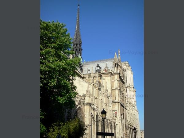 Chùm ảnh về vẻ đẹp của Nhà thờ Đức Bà Paris trước vụ hỏa hoạn làm sập mái vòm và tháp đêm 15/4 ảnh 29